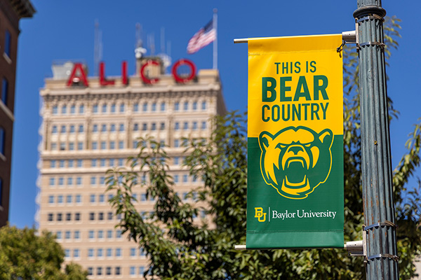 This is Bear Country Downtown Banner