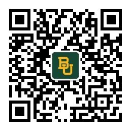 International qr code